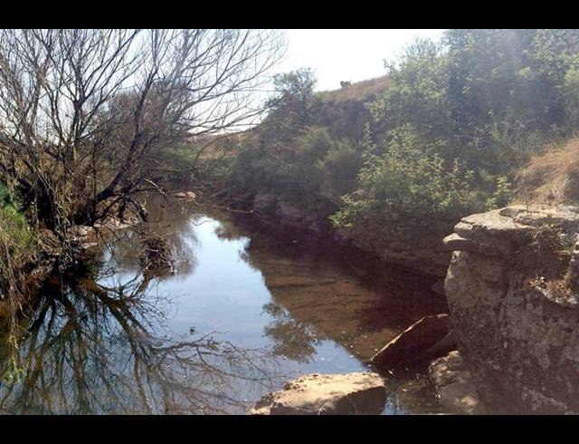 FARM FOR SALE IN ROSETTA